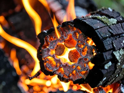 Burning log detail showing cellular char