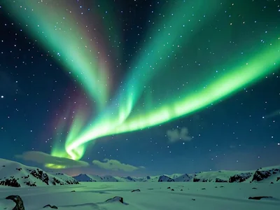 Arc aurora along northern horizon for hours