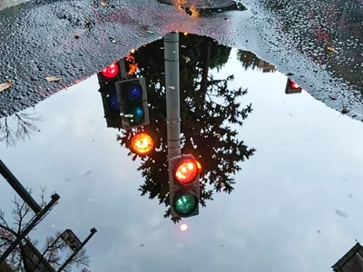 Traffic light colors in puddle