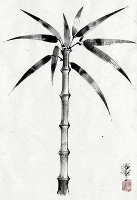 Bamboo stalk sumi-e