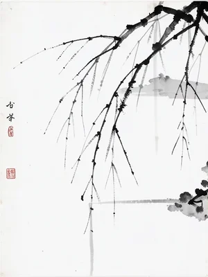 Bare willow branches trailing down into unseen water
