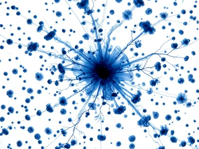 Multiple tiny ink drops blooming simultaneously, field of small expanding clouds