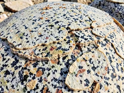Exfoliation layers peeling from dome surface