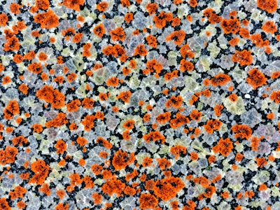 Orange iron stain on gray granite