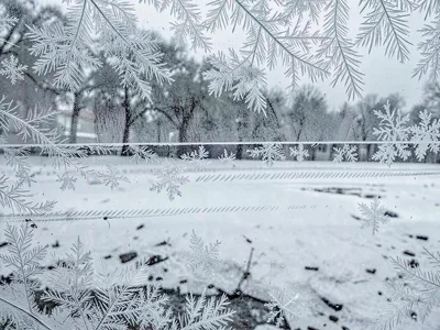 Repeated freeze thaw creating layers