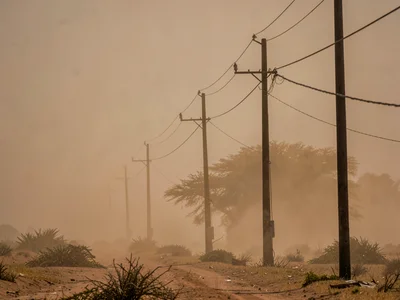 Telephone poles creating rhythm into vanishing dust