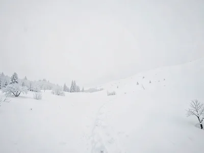 Own snowshoe tracks disappearing into white