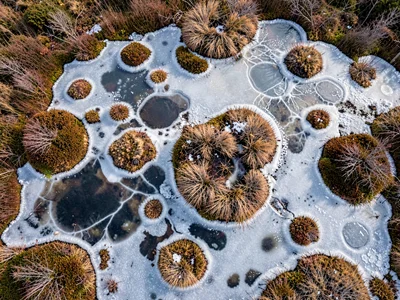 Frozen bog surface showing ice patterns between hummocks