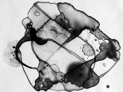 A large abstract chemigram — free-poured fixer resist, spontaneous organic tones