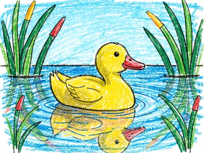 Yellow duck swimming in pond