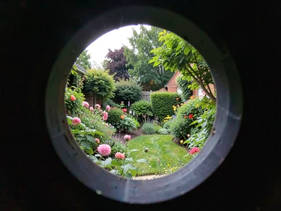 Garden pinhole view