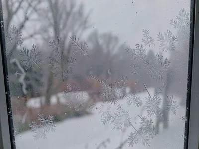 Thin frost showing outdoor scene muted
