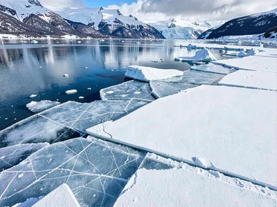 Shoreline compressed ice creating chaos of angles