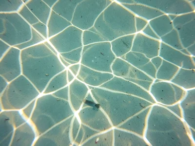 Gentle caustic pattern in still water barely moving