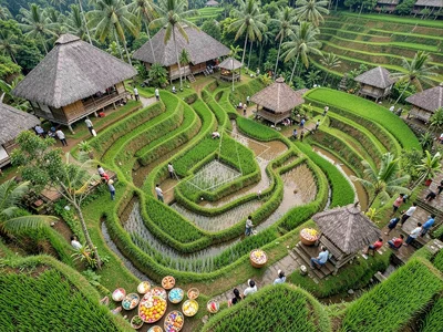 Rice terrace subak pattern from above