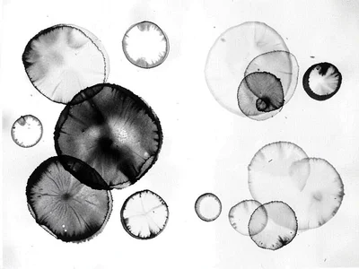 Multiple drops creating overlapping patterns
