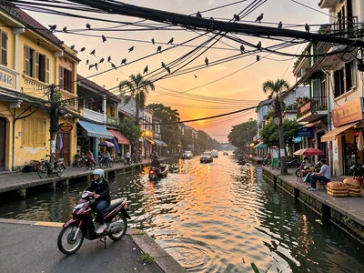 Birds on tangled Hanoi wires at sunset