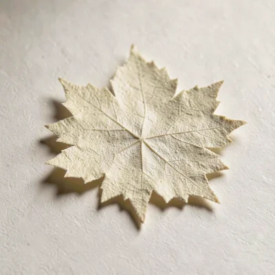 Macro of a paper grape-leaf shape with deckle edges, pinpoint shadow