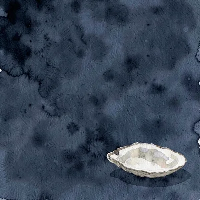 A single oyster shell rests in the lower-right in pale cream against deep navy,