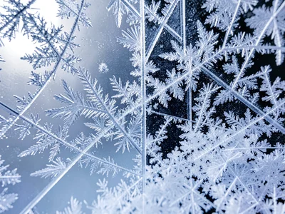 Window frost showing contrast between fine and coarse crystal zones