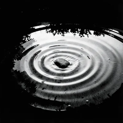 Stark minimalist composition, high contrast black and white tones, Ripples sprea