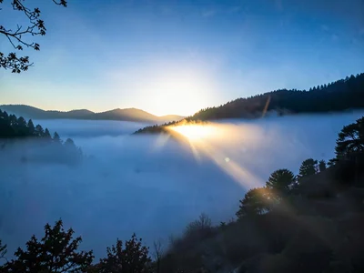 Sun breaking through fog turning it from blue to gold