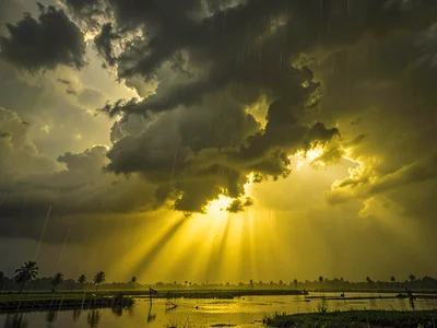 Storm light creating dramatic yellow cast