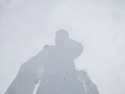 Tree shadow only color on white surface