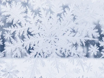 Full frost coverage as white field