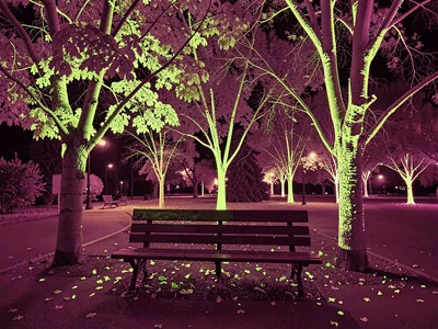 Park bench surrounded by glowing trees