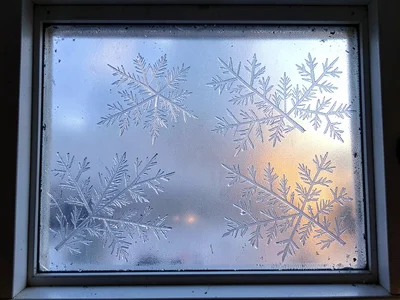 Dawn color through frosted window