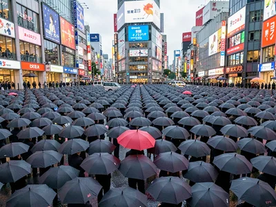 Hundred umbrellas crossing at Shibuya, telephoto stacking them into a mosaic of 