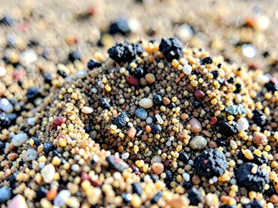 Grain size sorting visible in beach sample