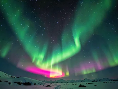 Green aurora with pink lower border showing altitude colors
