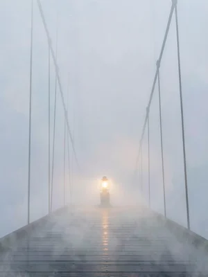 Suspension cables disappearing into cloud, deck visible for ten meters then noth