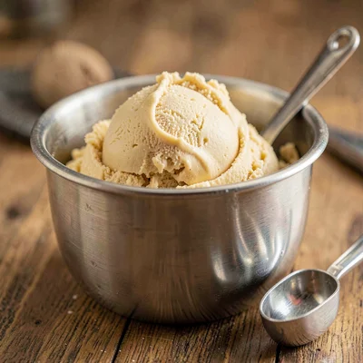 Warm photograph of a fresh batch of sorbet in a stainless tub with a scoop resti