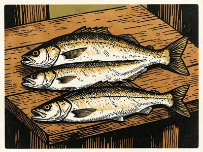 Fresh fish still life