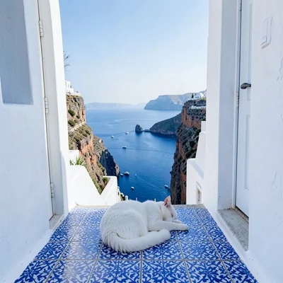 Sidi Bou Said cobalt-white, cliff-top absolute palette, White cat sleeping on bl