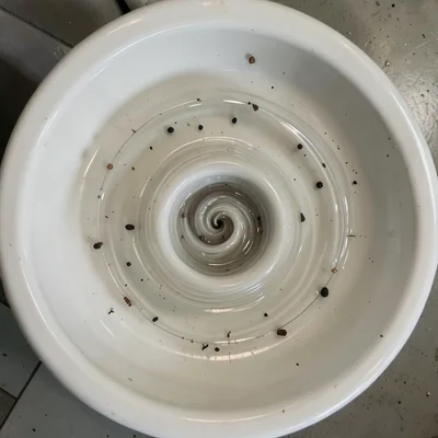 Vortex forming in draining tub, perfect spiral, small objects orbiting, overhead