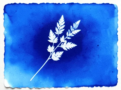 Cyanotype wash with no objects, just pure chemical blue gradient from over-expos