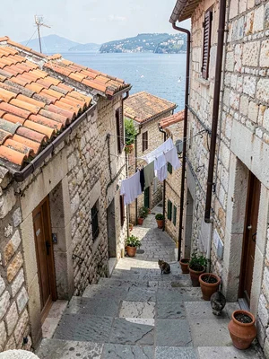 Narrow alley with laundry and cat