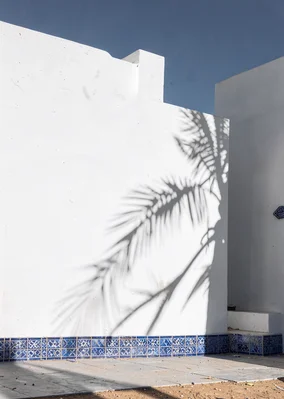 Extreme minimalist restraint of Muscat, Oman, date palm shadow on white wall, st