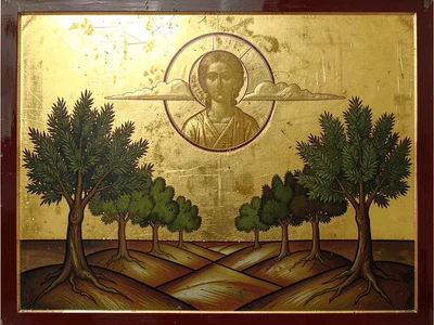 Olive grove landscape with stylized flat trees, gold sky above the horizon