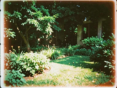 Garden with green shift in shadows
