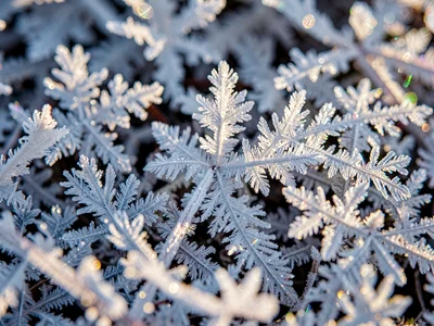 Color through frost crystal refraction