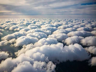 Altocumulus field creating repeating pattern to horizon