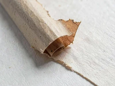 Cardboard-flute corrugation revealed beneath a torn kraft skin lifted in a slow