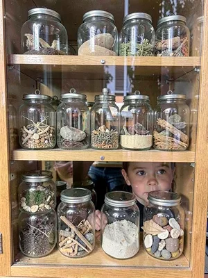 Curiosity cabinet filled with specimens in jars, child's face pressed to glass