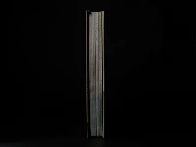 Book spine single light