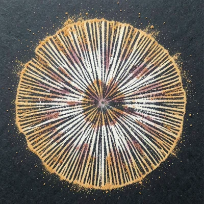 Summer chanterelle mushroom spore print on dark paper, golden dust pattern